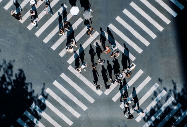 Strategic Public Policy Advisory